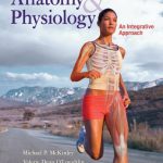 Anatomy and Physiology 1st Edition McKinley Test Bank