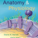 Anatomy and Physiology 6th Edition Marieb Test Bank