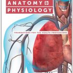 Anatomy and Physiology Foundations for the Health Professions 1st Edition Deborah Roiger Solutions Manual