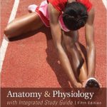 Anatomy and Physiology with Integrated Study Guide 5th Edition Gunstream Solutions Manual
