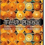 Anthropology 13th Edition Ember Test Bank