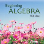 Beginning Algebra 9th Edition Baratto Test Bank