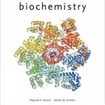 Biochemistry 6th Edition Garrett Test Bank