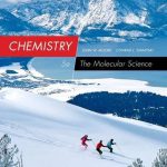 Chemistry The Molecular Science 5th Edition Moore Solutions Manual