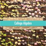 College Algebra 11th Edition Lial Solutions Manual