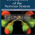 Development of the Nervous System 3rd Edition Sanes Test Bank