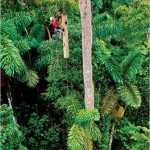 Environmental Science 14th Edition Miller Solutions Manual