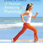 Essentials of Human Anatomy and Physiology Revised 11th Edition Marieb Test Bank