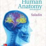 Human Anatomy 5th Edition Saladin Solutions Manual