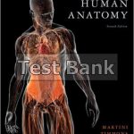 Human Anatomy 7th Edition Martini Test Bank