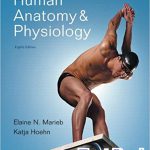 Human Anatomy Physiology 8th Edition Marieb Test Bank