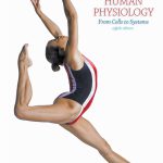 Human Physiology From Cells to Systems 8th Edition Lauralee Sherwood Test Bank