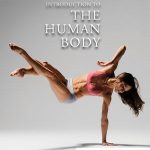 Introduction to the Human Body 10th Edition Tortora Test Bank