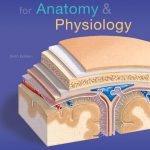 Laboratory Manual for Anatomy and Physiology 6th Edition Marieb Solutions Manual