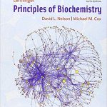 Lehninger Principles of Biochemistry 6th Edition Nelson Test Bank