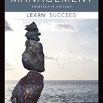 Management 13th Edition Schermerhorn Solutions Manual