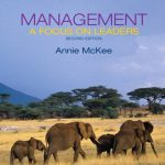 Management A Focus on Leaders 2nd Edition McKee Test Bank