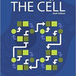 Molecular Biology of the Cell 6th Edition Bruce Alberts Test Bank