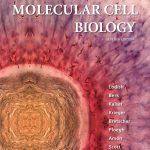 Molecular Cell Biology 7th Edition Lodish Test Bank