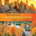Practice of Macro Social Work 4th Edition Brueggemann Test Bank