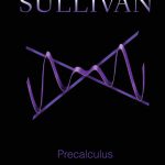 Precalculus 10th Edition Sullivan Test Bank