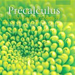 Precalculus A Right Triangle Approach 5th Edition Beecher Test Bank