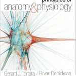 Principles of Anatomy and Physiology 14th Edition Tortora Test Bank