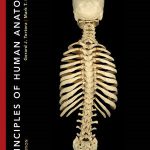 Principles of Human Anatomy 13th Edition Tortora Test Bank