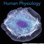 Principles of Human Physiology 5th Edition Stanfield Test Bank
