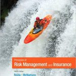 Principles Of Risk Management And Insurance 12th Edition Rejda Solutions Manual
