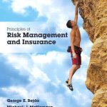 Principles of Risk Management and Insurance 13th Edition Rejda Solutions Manual