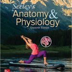Seeleys Anatomy and Physiology 11th Edition VanPutte Test Bank