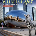What Is Life A Guide to Biology with Physiology 3rd Edition Phelan Test Bank